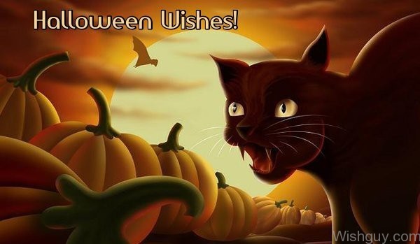 Halloween Wishes cartoon cat and pumpkin picture