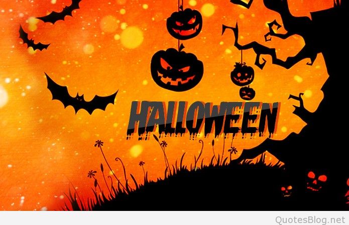 Halloween scary bat and pumpkins image