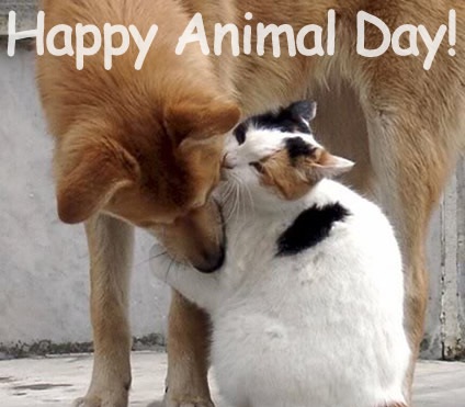 Happy Animal Day Cat And Dog Picture