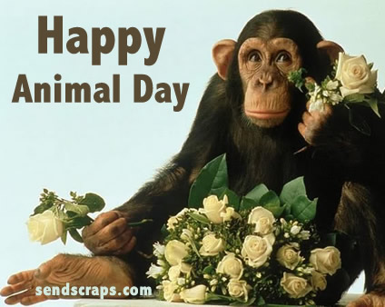 Happy Animal Day Chimpanzee With Flowers Picture