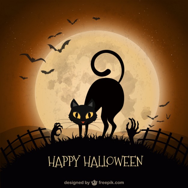 Happy Halloween Black cat With Flying Bats And full Moon View