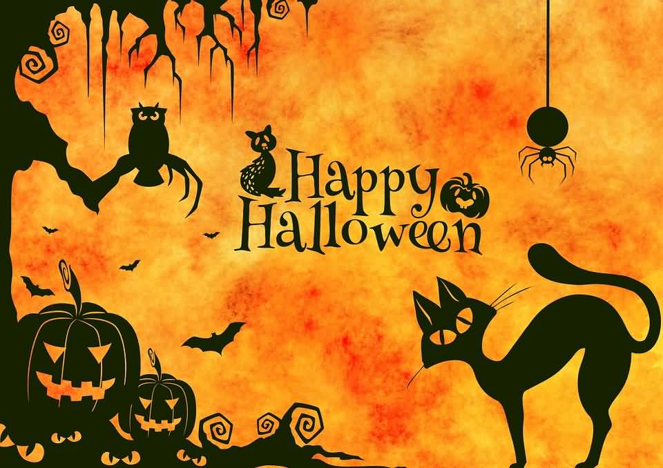 Happy Halloween Owl Cat And Pumpkins Scary Wishes picture