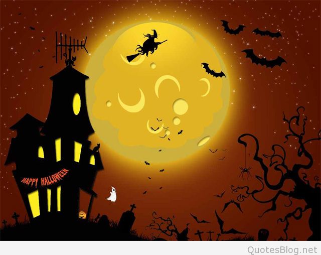 Happy Halloween black cat on ghost house, black witch on broomstick flying bats big yellow moon background picture