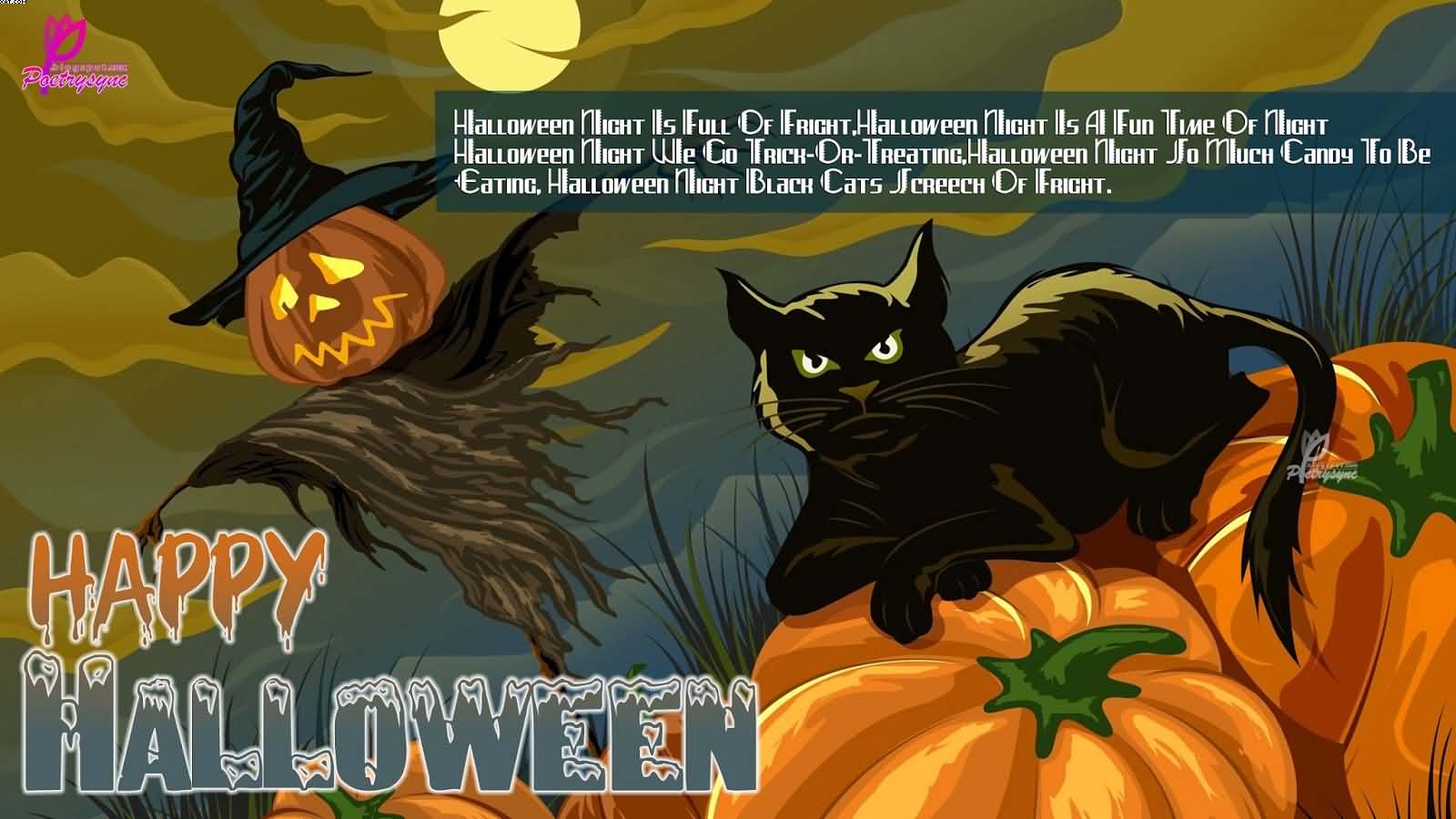 Happy Halloween black cat sitting on Halloween pumpkin wallpaper