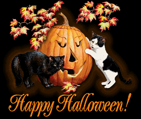 Happy Halloween cats with lighting pumpkin glitter card