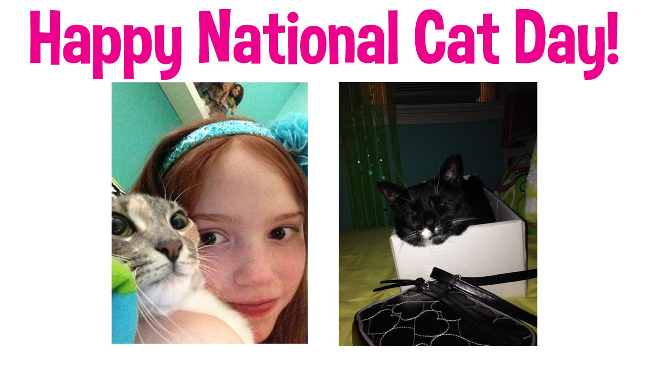 Happy National Cat Day 2017 Image