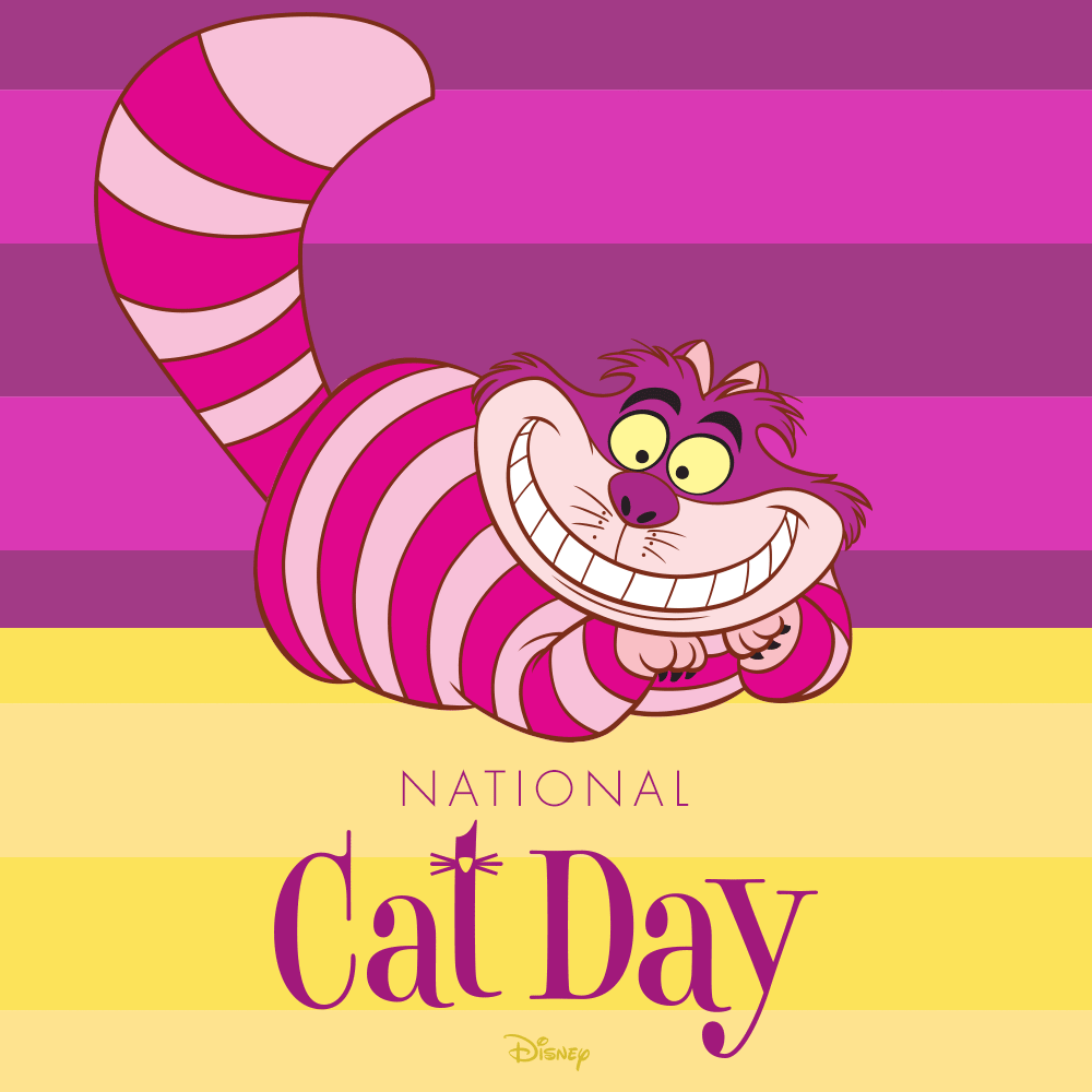 Happy National Cat Day Animated Cat Picture