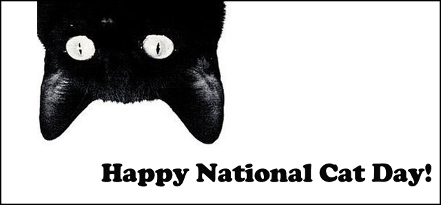Happy National Cat Day Black Cat Upside down Facebook Cover Picture