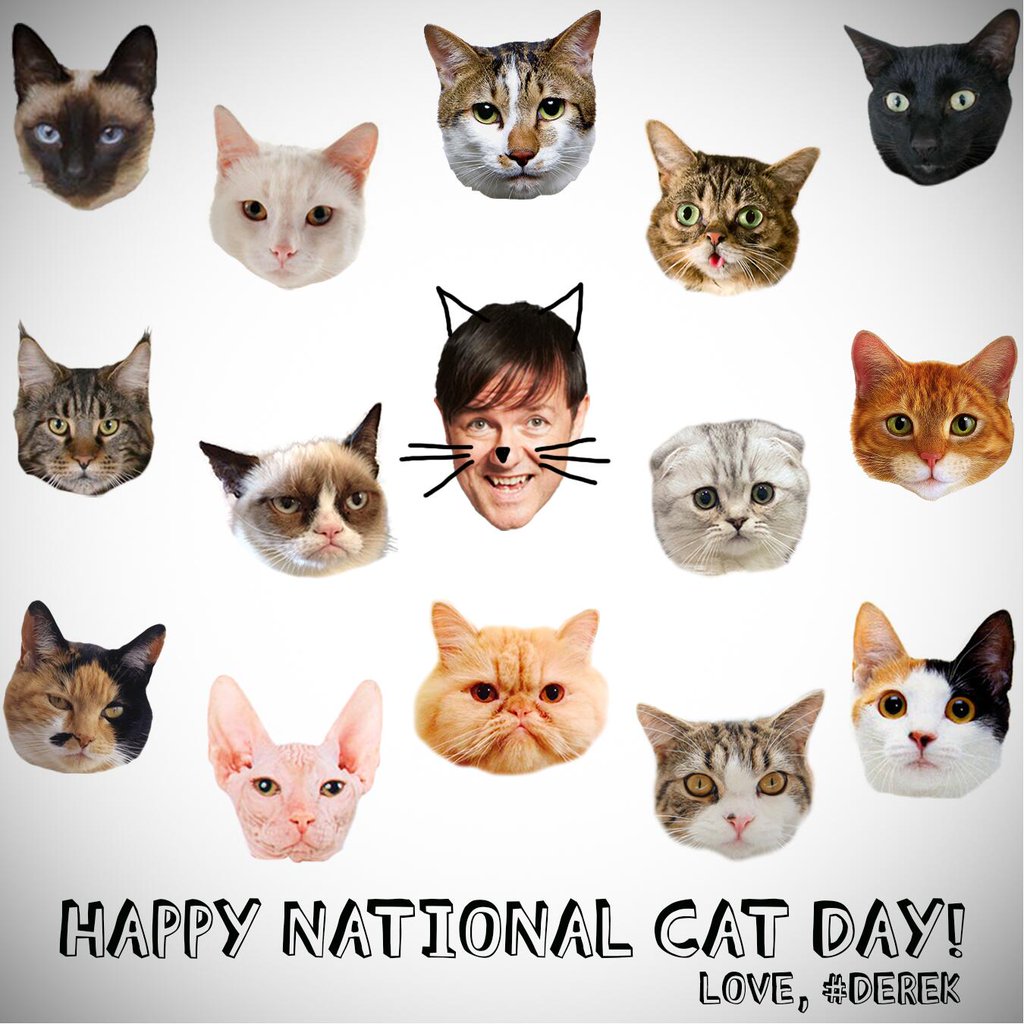 Happy National Cat Day Cat Faces Picture