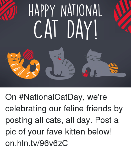 Happy National Cat Day Greeting Card