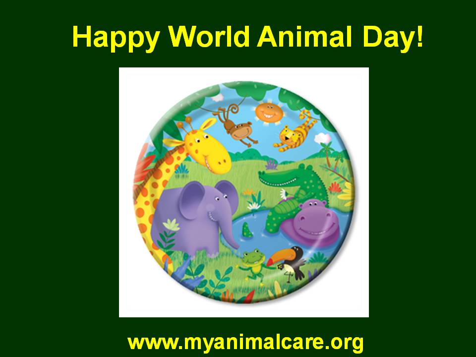 Happy World Animal Day 2017 Greeting Card