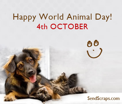 Happy World Animal Day 4th October Cute Cat And Dog Picture