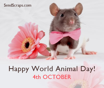 Happy World Animal Day 4th October Mouse Wearing Bow With Flower