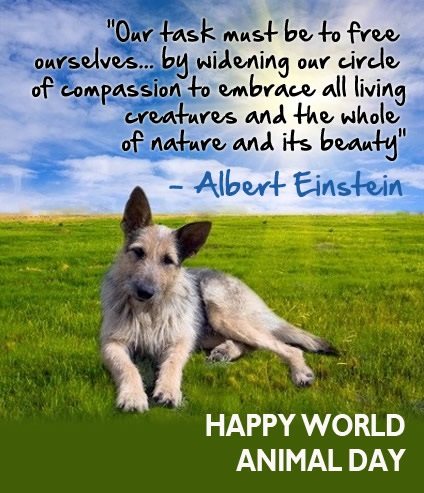 Happy World Animal Day Albert Einstein Quote