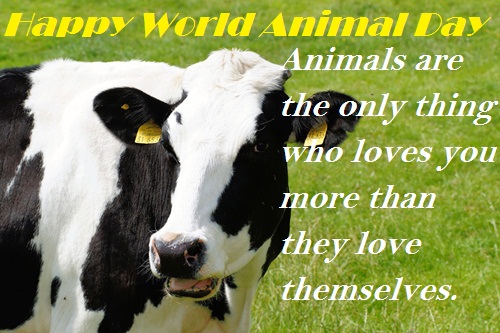 Happy World Animal Day Animals Are The Only Thing Who Loves You More Than  They Love