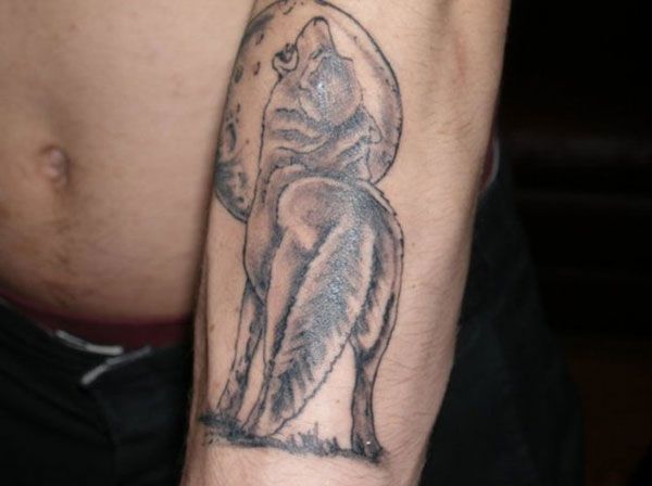 Howling Wolf Tattoo On Arm