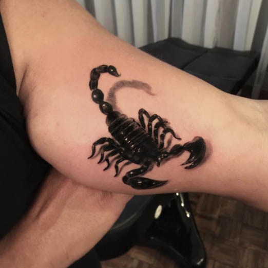 Incredible 3d Scorpion Tattoo On Bicep