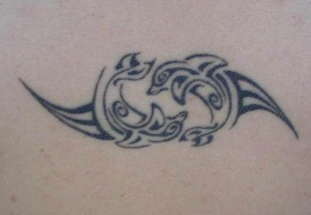 Infinity Dolphin Tattoo Design