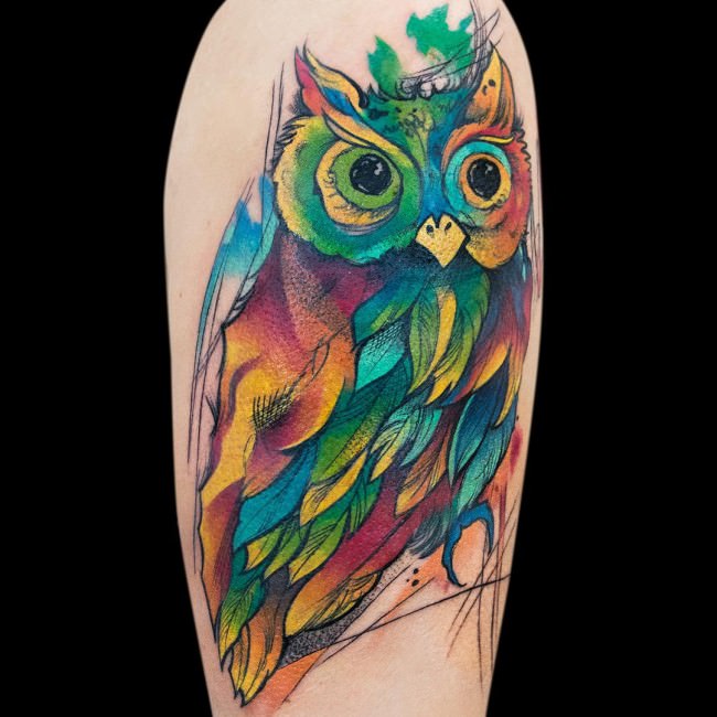 Multicolored Watercolor Owl Tattoo On Bicep