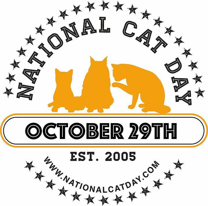 National Cat Day October 29th Card