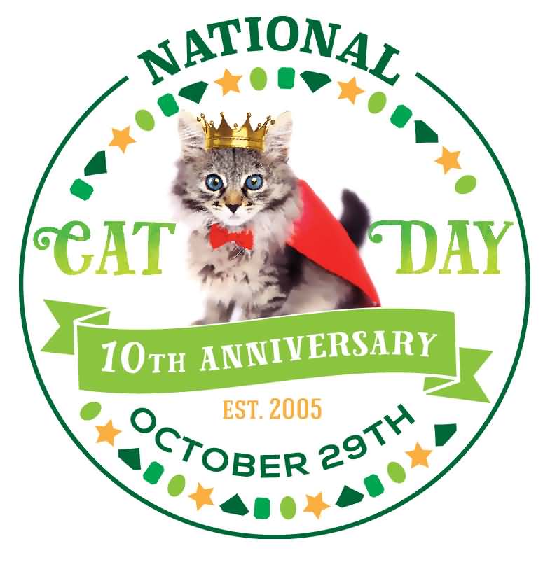 National Cat Day October 29th Picture
