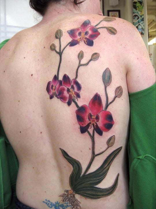 Orchid Flower With Branch Tattoo On full Back