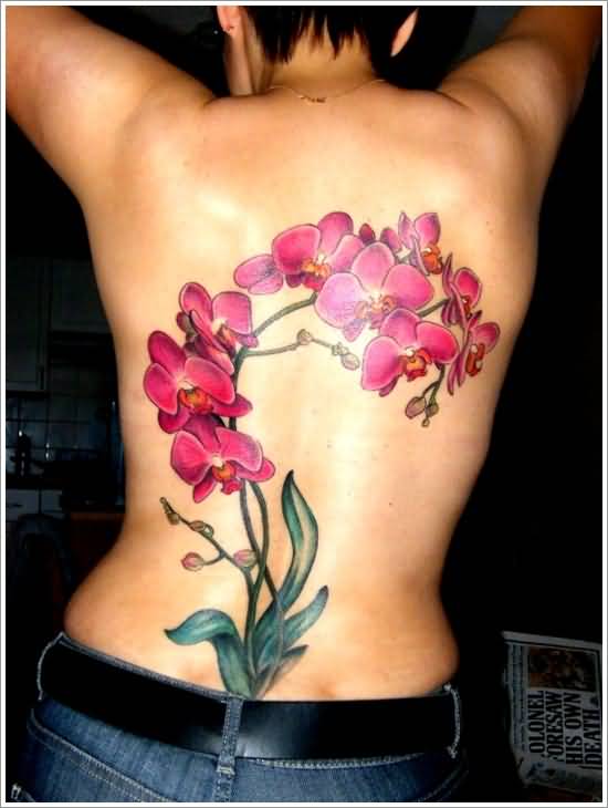 Pink Orchid Tattoo On Full Back
