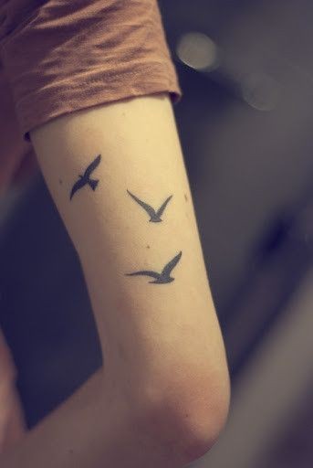 Three Flying Birds Tattoo On Half Sleeve