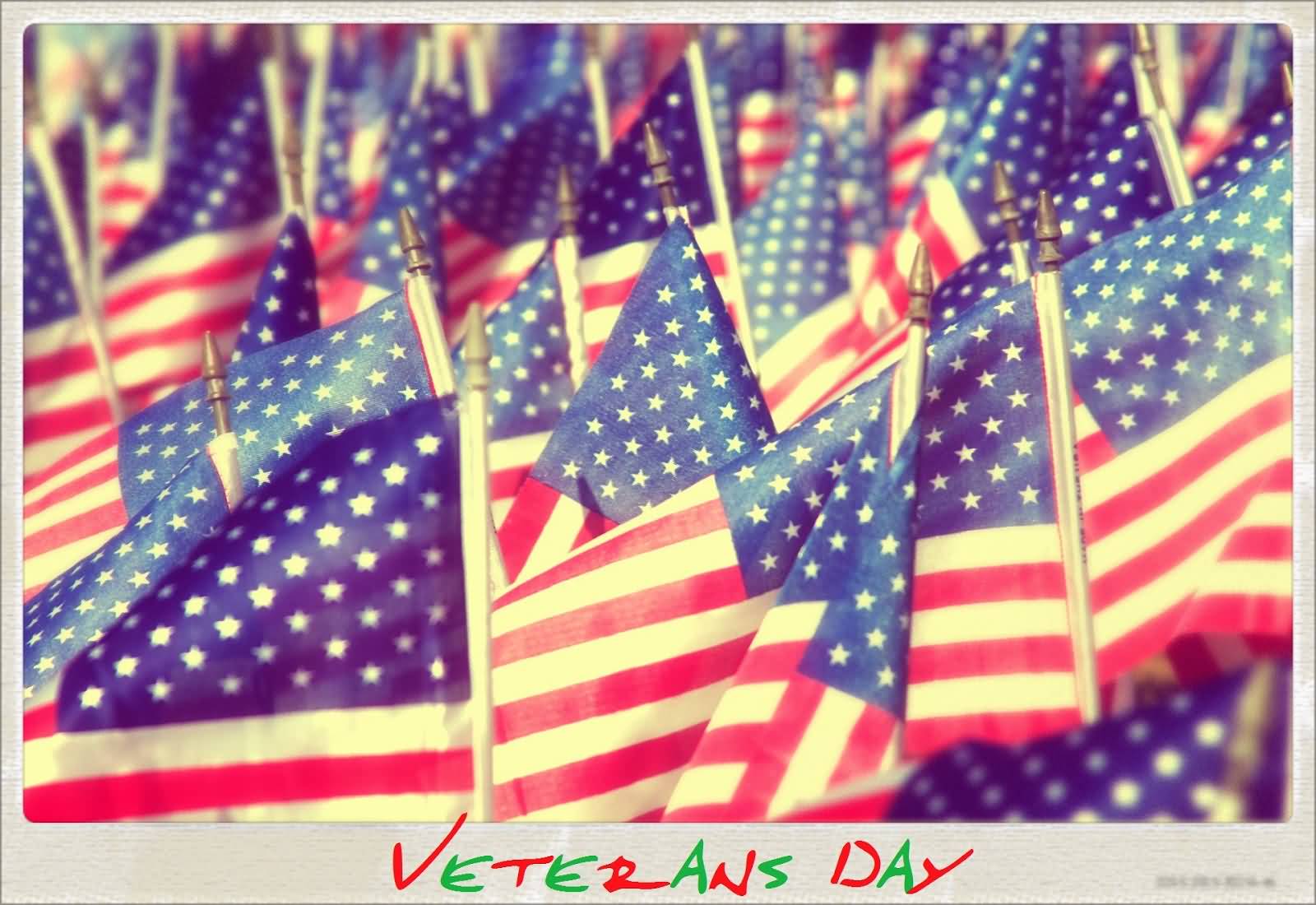 Veterans Day colorful text with flags