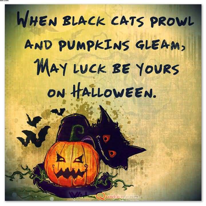 When black cats prowl and pumpkins gleam, May luck be yours on Halloween picture