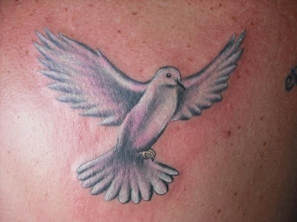 White and Pink Flying Dove Tattoo Design