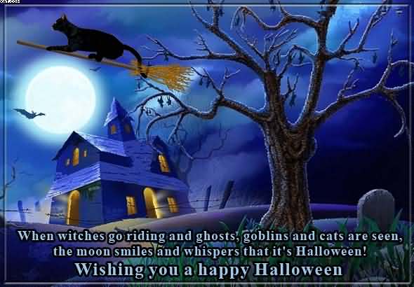 Wishing you a Happy Halloween cat on broomstick moon light picture
