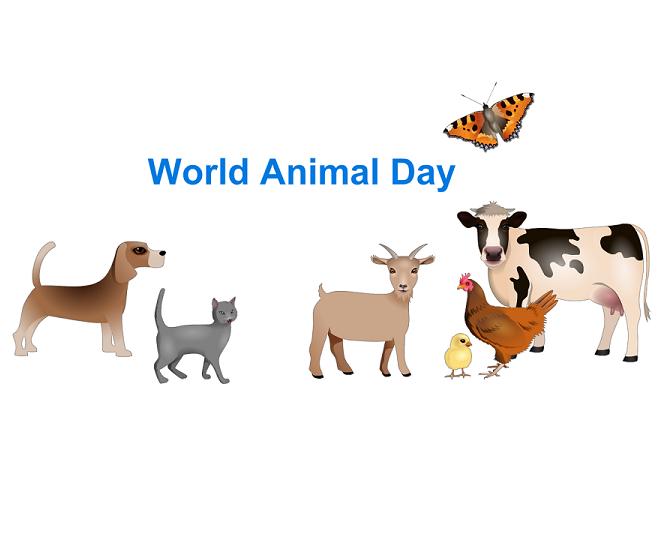 World Animal Day Animals Image On Whiteboard