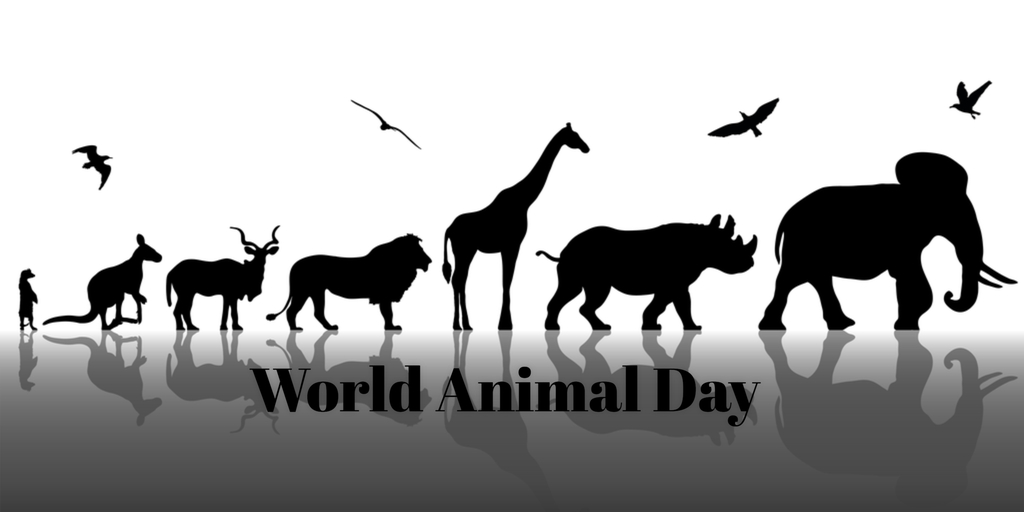 World Animal Day Animals Picture
