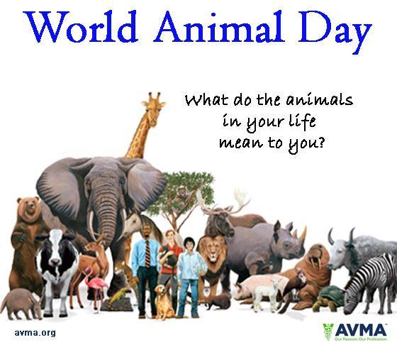 World Animal Day What Do The Animals In Your Life Mean To You