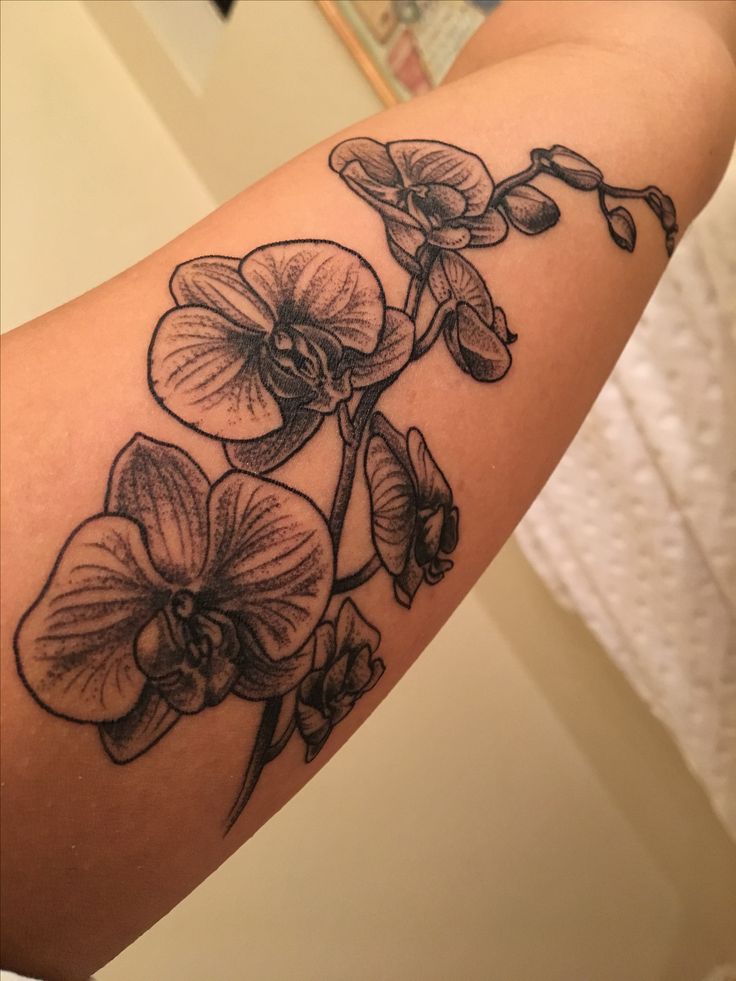 gray ink Orchid Tattoo On Forearm