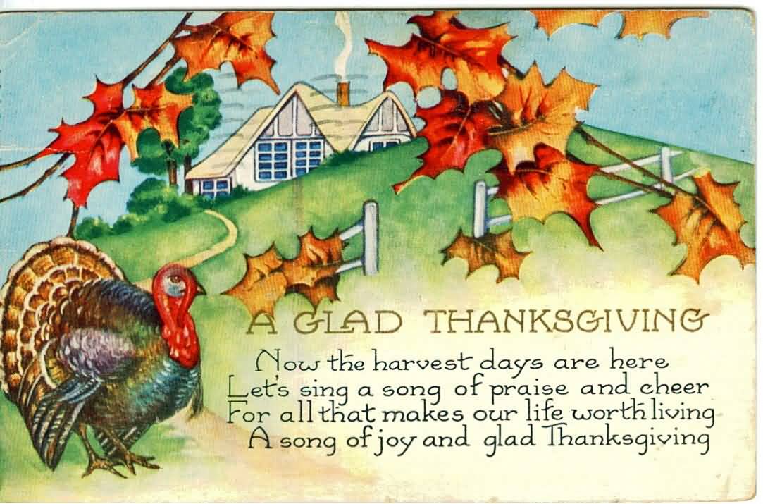 A glad Thanksgiving Day Wishes