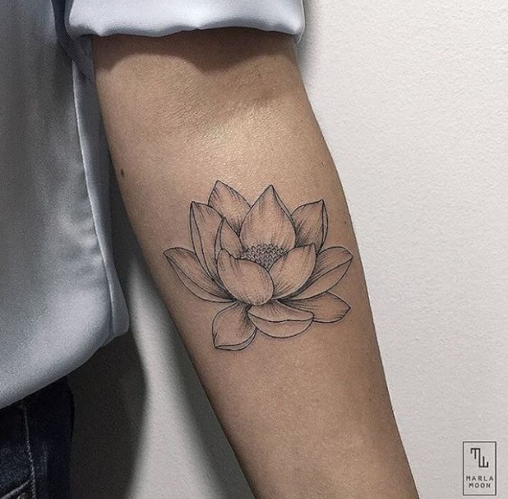 Beautiful Lotus Flower Tattoo On Forearm
