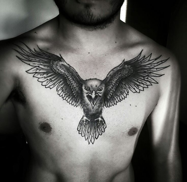 Black & Grey Flying Eagle Chest Tattoo For Men