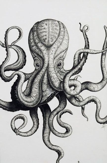 Black & Grey Octopus Tattoo Design For Chest & Back