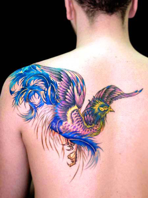 Colorful Chinese Phoenix Tattoo On Back shoulder