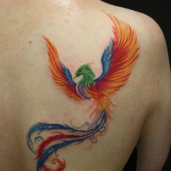 Colorful Phoenix Tattoo On Back Shoulder