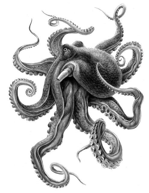 Dark Grey Giant Realistic Japanese Octopus Tattoo Design