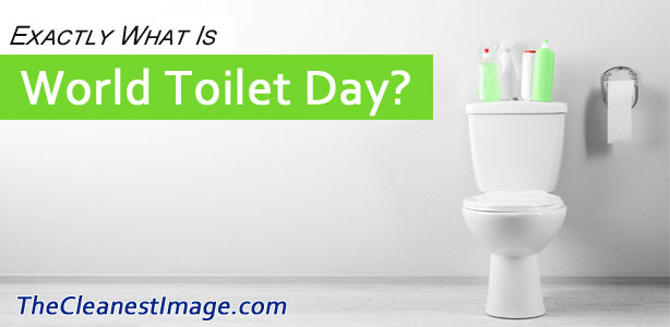 Exactly What Is World Toilet Day