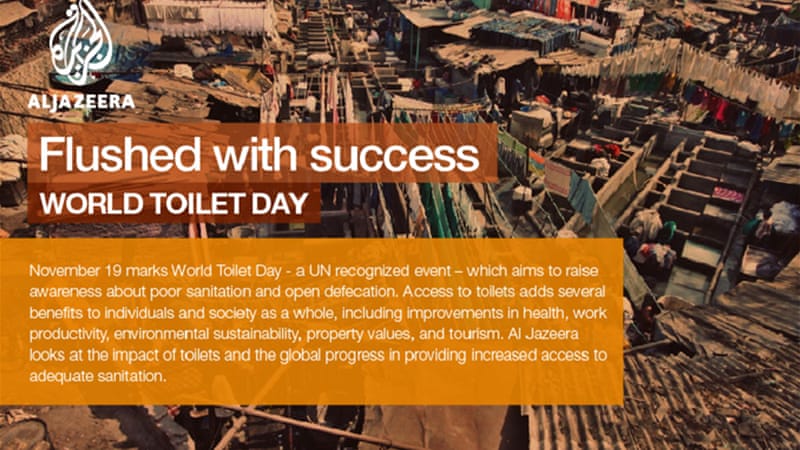 Flushed With Success World Toilet Day