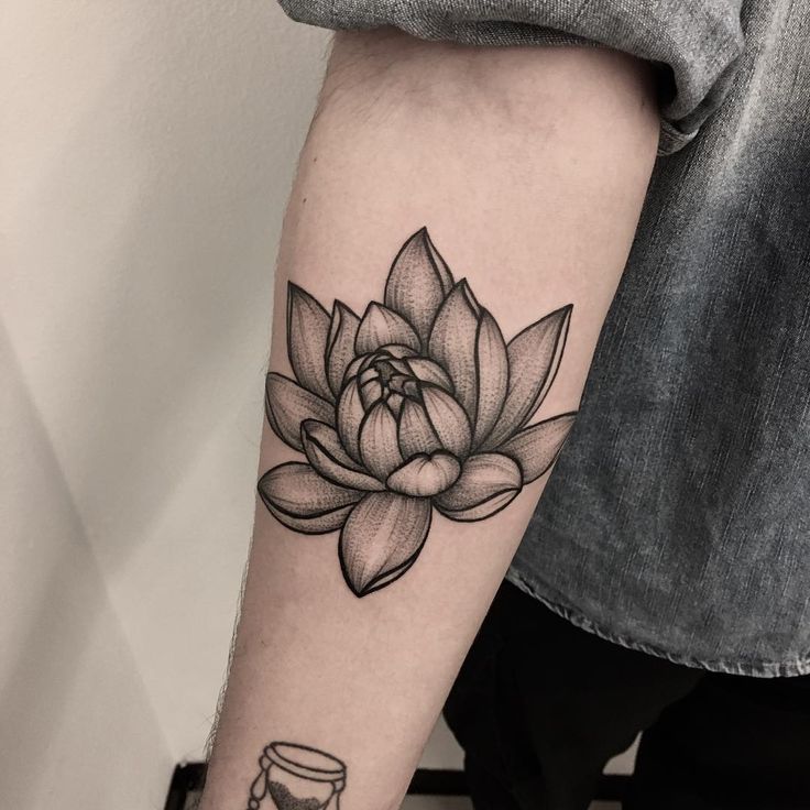 Gray Lotus Tattoo On forearm