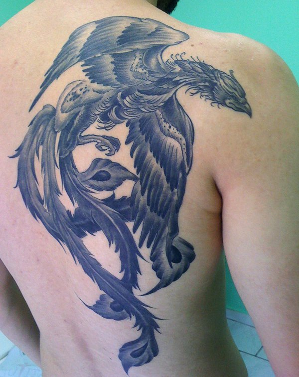 Gray Phoenix Tattoo On right back Shoulder