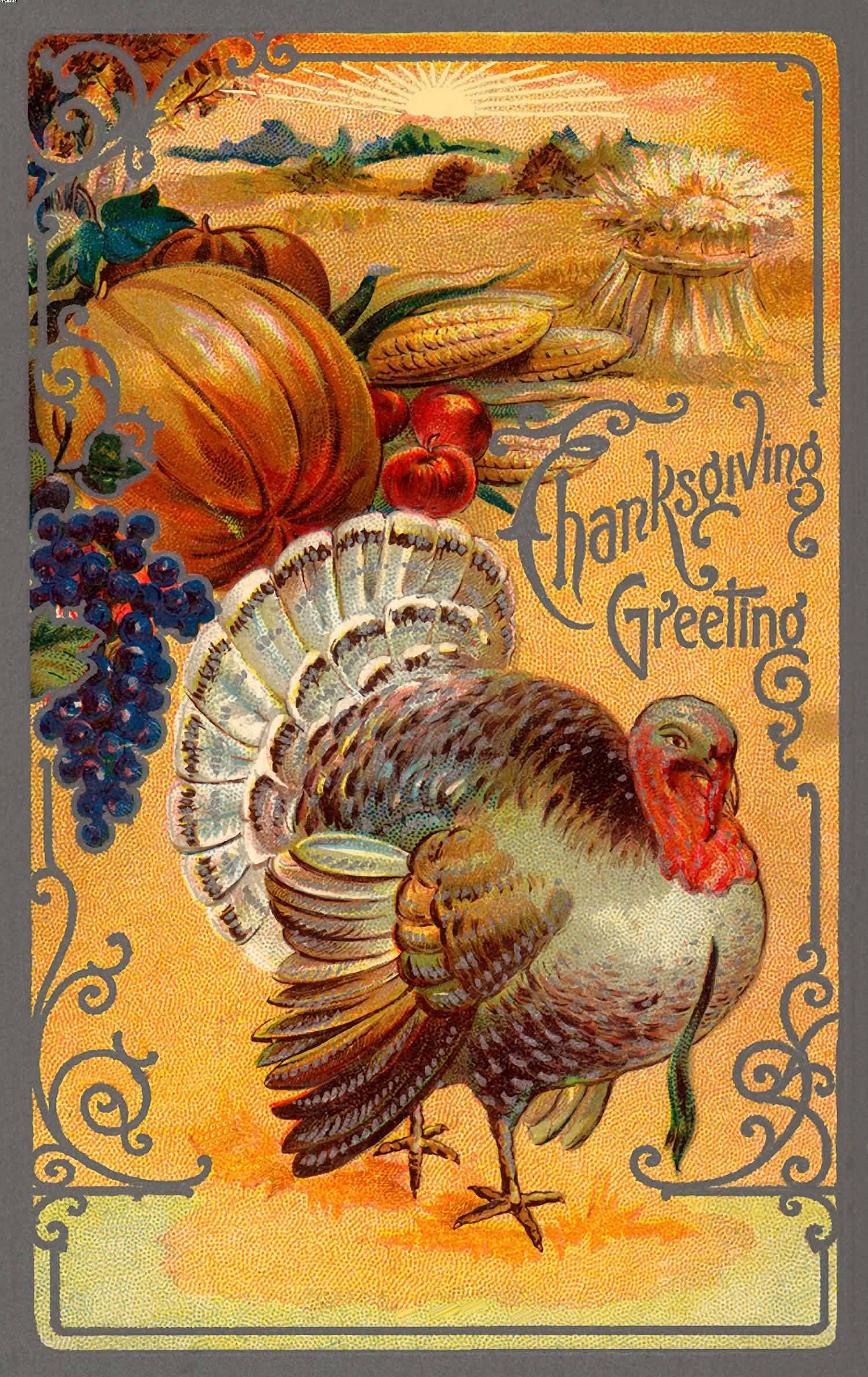 Happy Thanksgiving Day turkey image