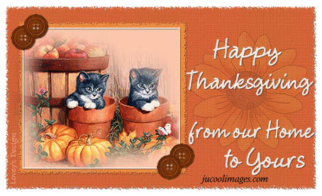 Happy Thanksgiving from our home to your cute cats greeting card
