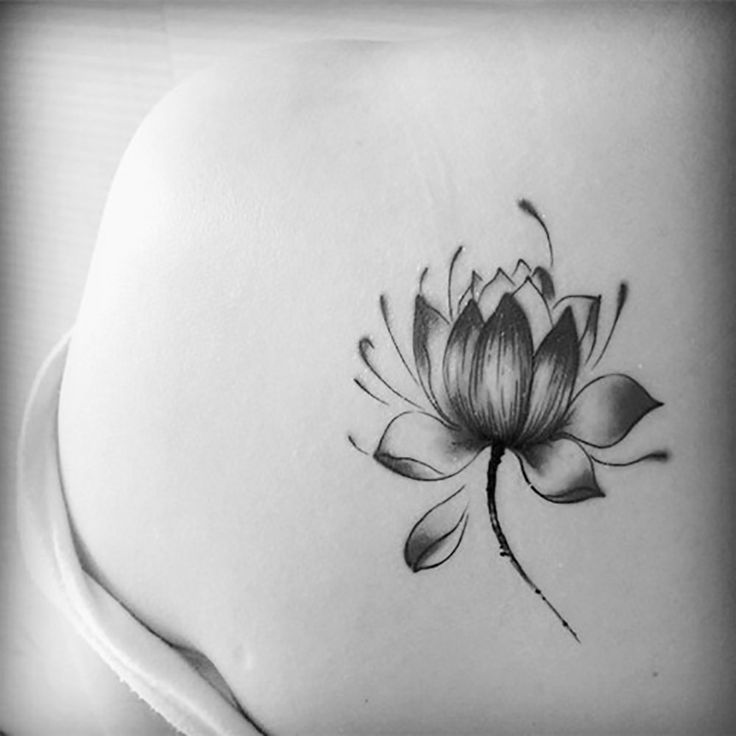 Hibiscus Lotus flower Tattoo On Back Shoulder